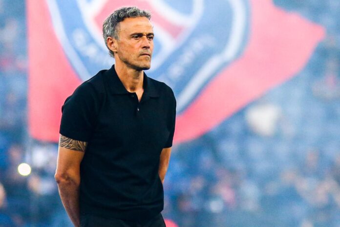 Luis Enrique, the architect of PSG’s transformation
