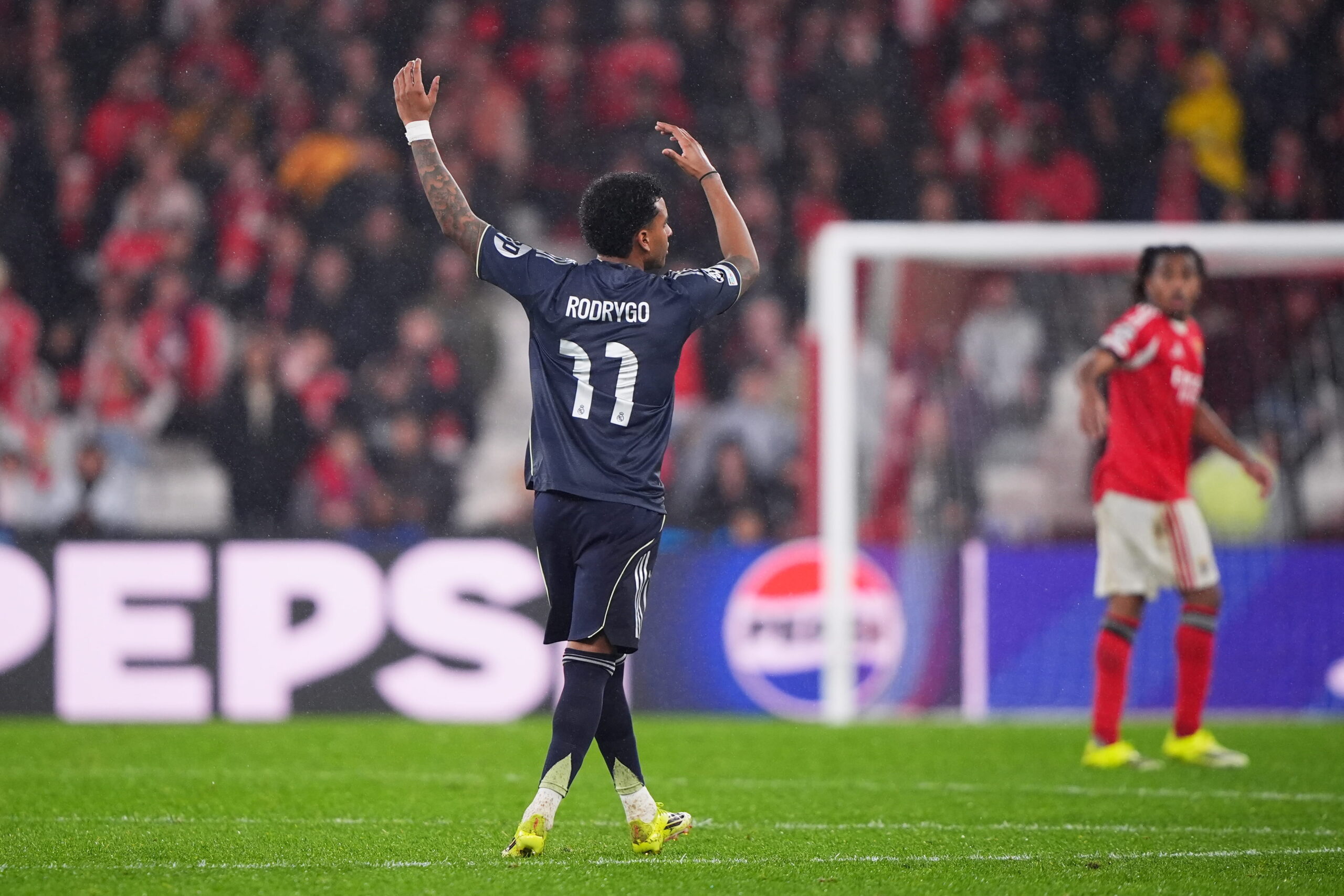 غياب رودريغو عن مباراتي بنفيكا.