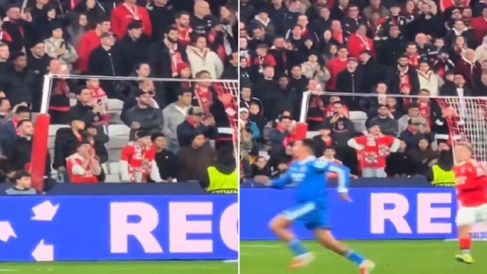 بنفيكا يفتح تحقيقا مع مشجعين لقيامهما بحركات مهينة أمام فينيسيوس.. فيديو