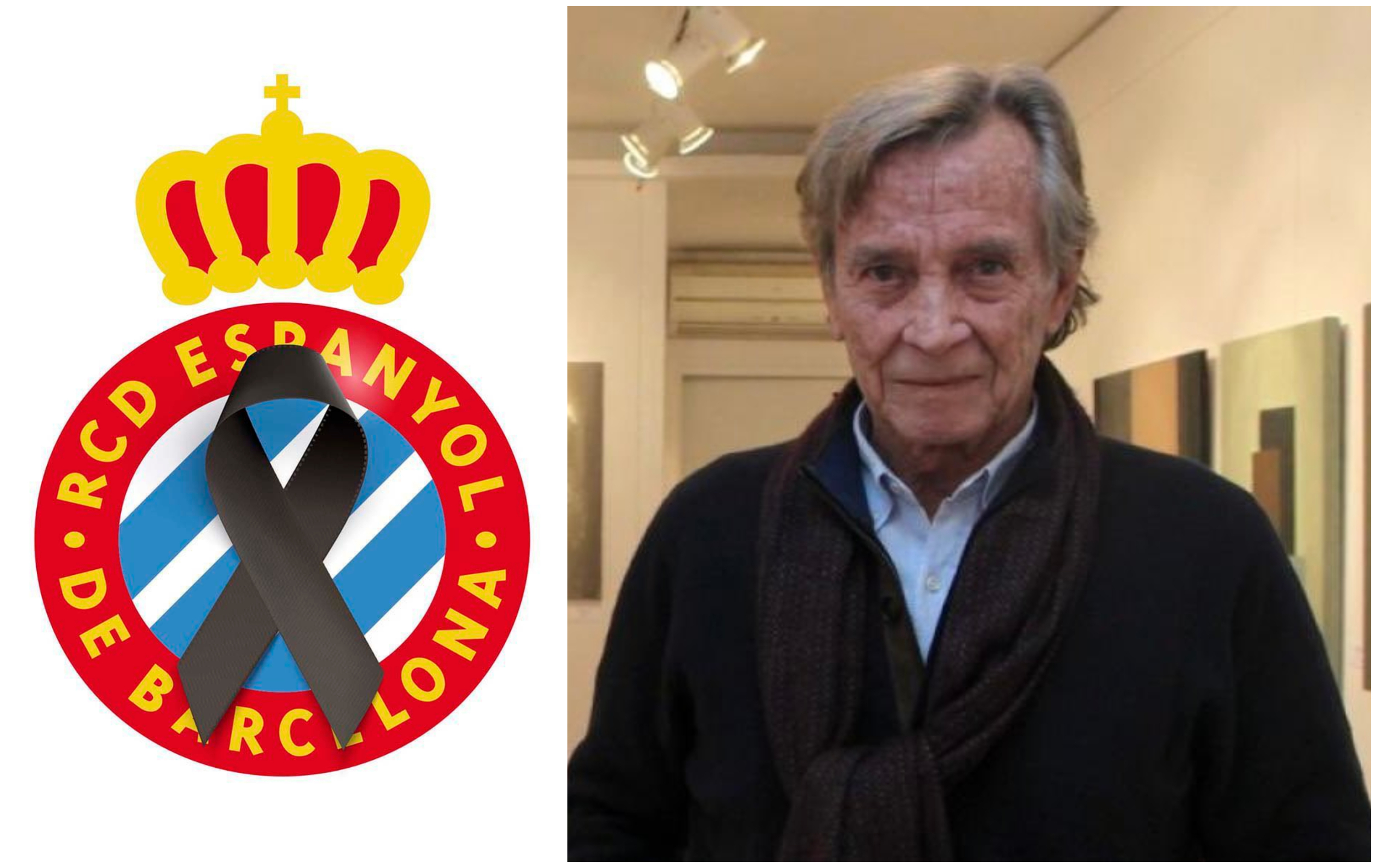 صورة فيران مارتوريل