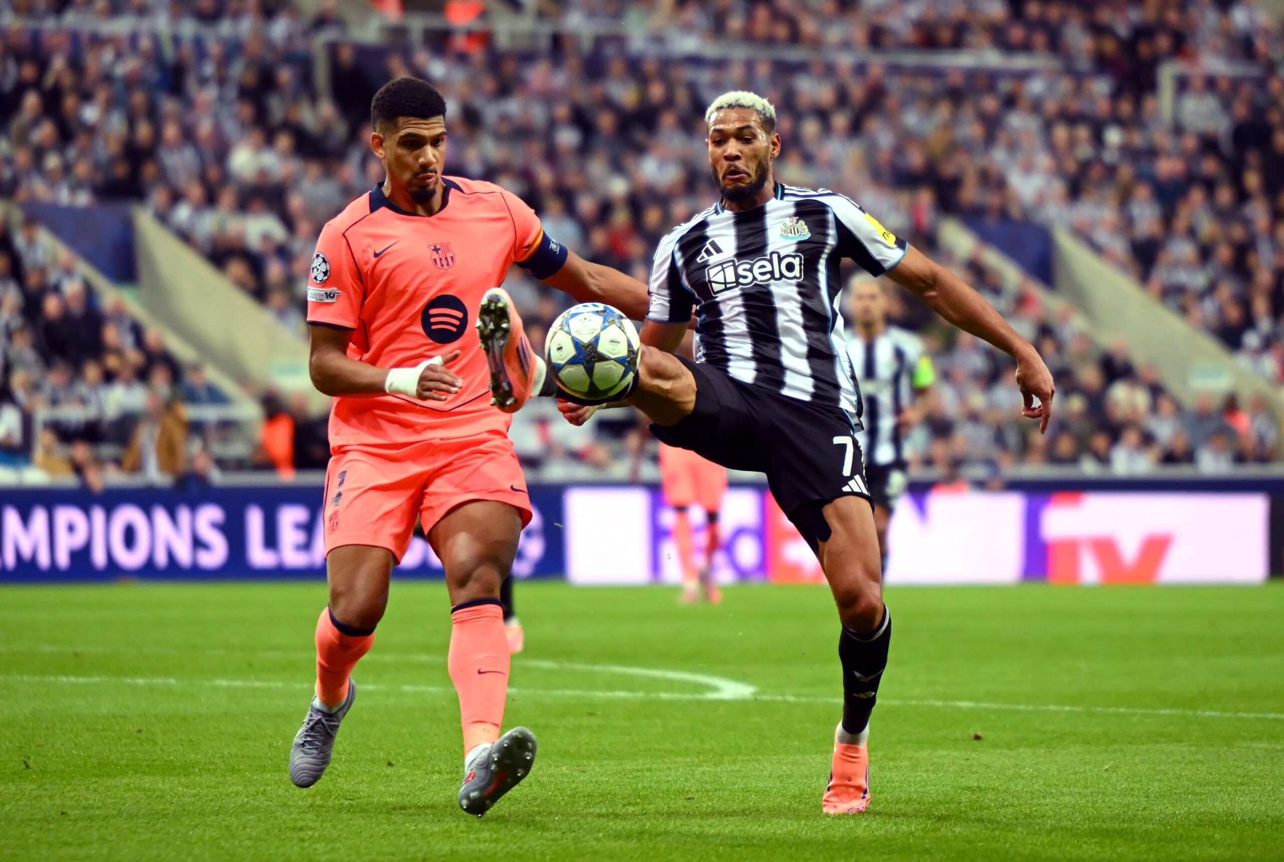 Ronald Araujo